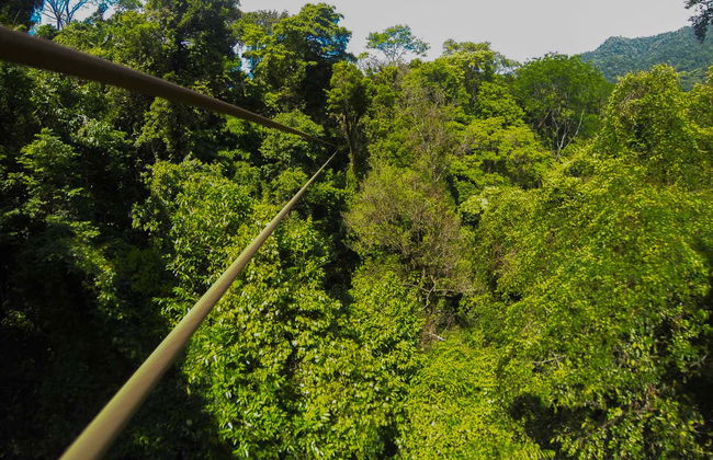 Zipline + Abseiling in Puerto Viejo de Limón - Foto 4