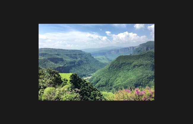 Excursión a Zapopan y la Barranca de Oblatos - Foto 2