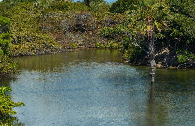 Passeio de lancha pelo Lago de Santo Amaro até a Lagoa das Américas - Foto 6