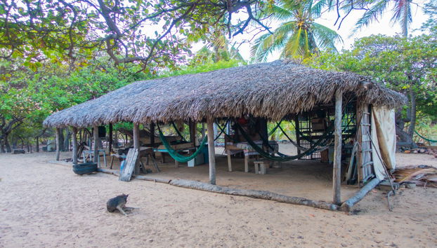 Hiking Route to a Parnaíba Delta Farm - Photo 3