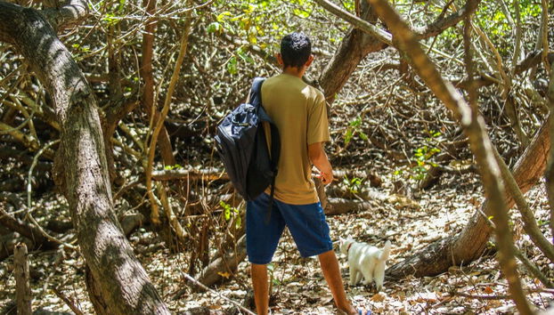 Hiking Route to a Parnaíba Delta Farm - Photo 2