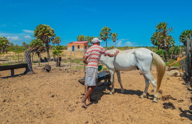Hiking Route to a Parnaíba Delta Farm - Photo 6
