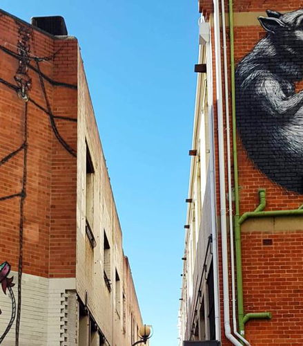 Foto de Recorrido a pie por la ciudad de Perth