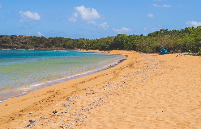Excursión a Playa Escondida - Foto 8