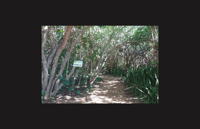 Excursión a Playa Escondida - Foto 6