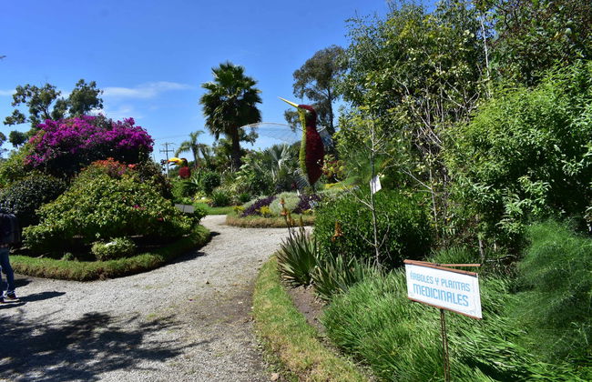 Atlixco & Chipilo Tour - Photo 4
