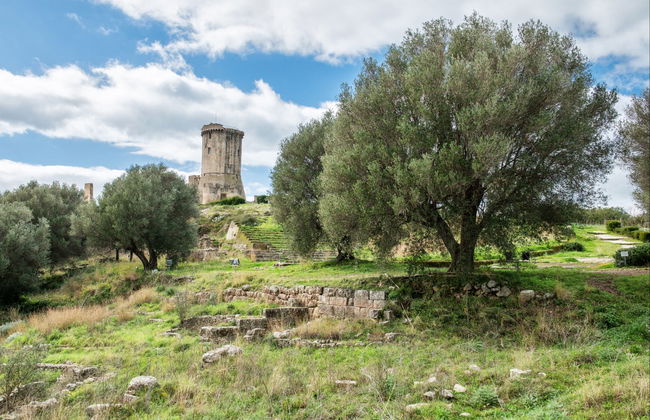 Velia Archaeological Park Excursion - Foto 1