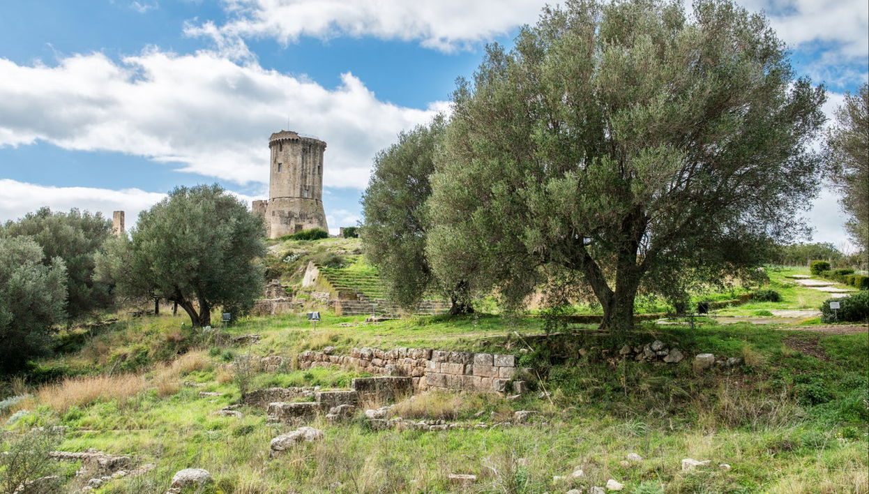 Velia Archaeological Park Excursion - Foto 1