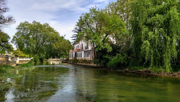 Tomar Private Tour - Photo 5