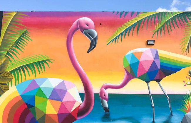 Visite guidée de Wynwood - Foto 1