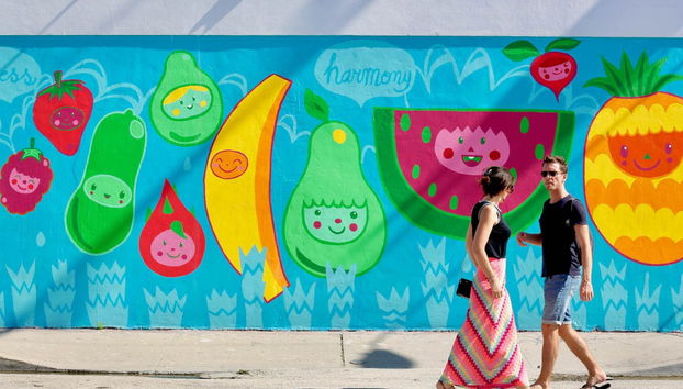 Visite guidée de Wynwood - Photo 2