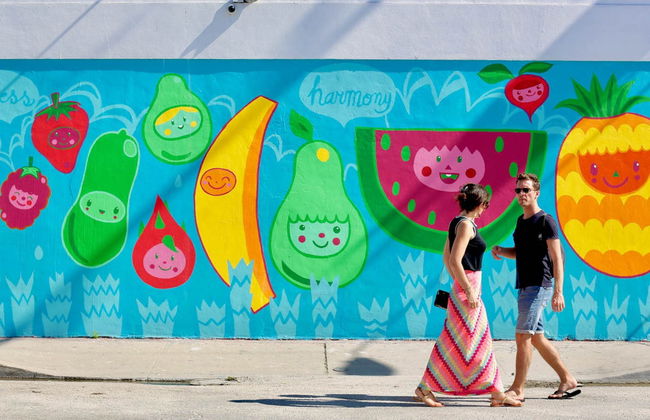 Visite guidée de Wynwood - Foto 2