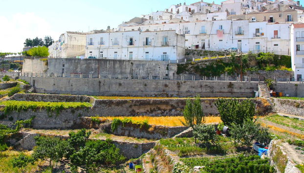 Visita guidata di Monte Sant'Angelo - Foto 2