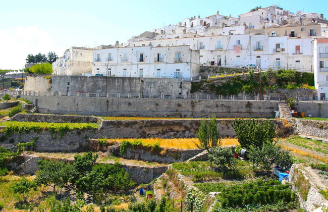 Visita guidata di Monte Sant'Angelo - Foto 2