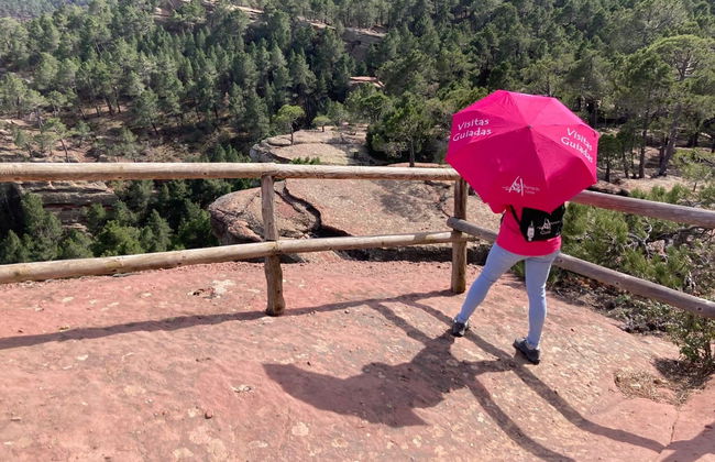 Tour por las pinturas rupestres de los Pinares de Rodeno - Foto 2