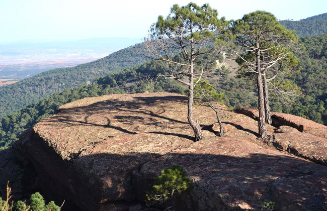 Tour por las pinturas rupestres de los Pinares de Rodeno - Foto 5