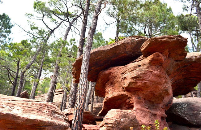 Tour por las pinturas rupestres de los Pinares de Rodeno - Foto 6
