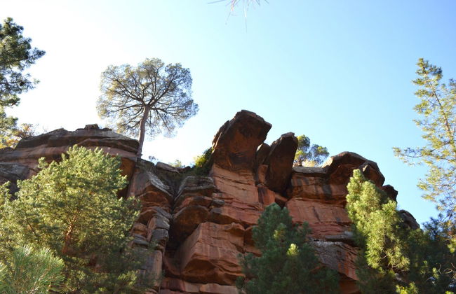 Tour por las pinturas rupestres de los Pinares de Rodeno - Foto 4