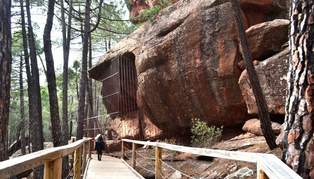 Chemin menant à l'un des abris