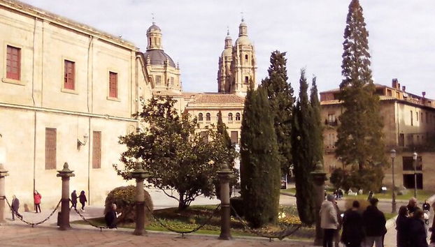 Il meglio della serata di Salamanca (INGLESE) - Foto 4