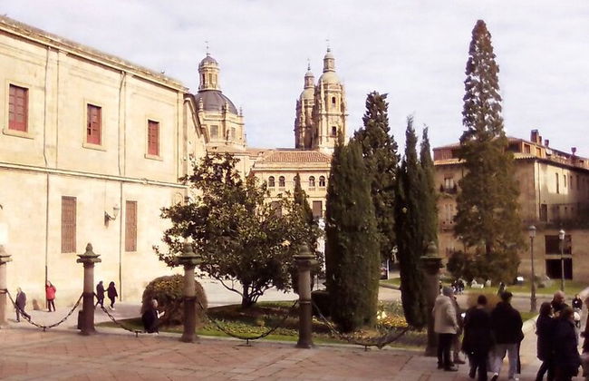 Il meglio della serata di Salamanca (INGLESE) - Foto 4