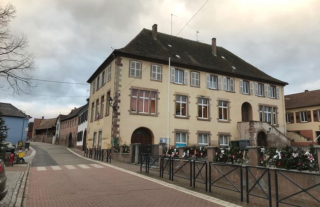Privatwagen mit Chauffeur Strasbourg <=> Erstein - Foto 3