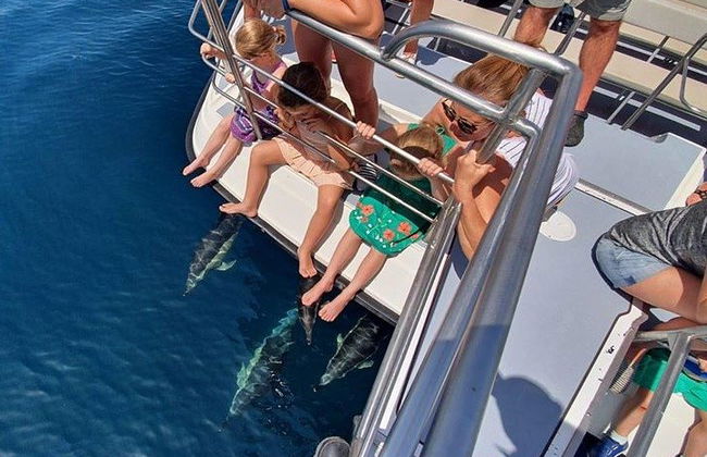 Observação de golfinhos em catamarã saindo de Lagos - Foto 7
