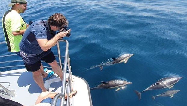 A plataforma de observação na parte frontal do catamarã oferece os melhores ângulos para fotos desses animais incríveis.