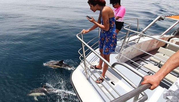 A plataforma de observação na parte frontal do catamarã oferece os melhores ângulos para fotos desses animais incríveis