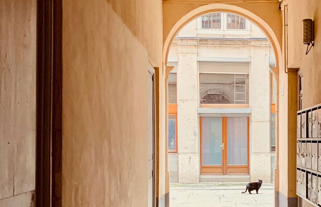Visita audioguiada a Lyon, capital de la Resistencia - Foto 6