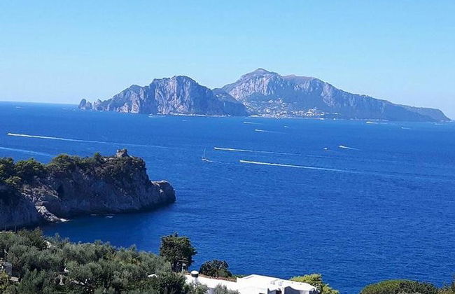 Tour privato esclusivo di Positano e Sorrento + pranzo in agriturismo - Foto 8