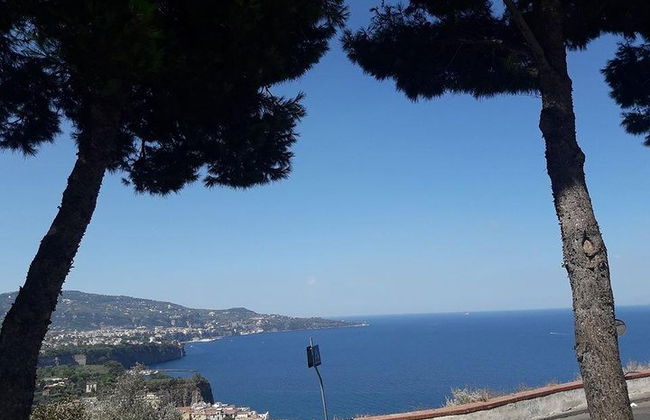 Tour privato esclusivo di Positano e Sorrento + pranzo in agriturismo - Foto 13