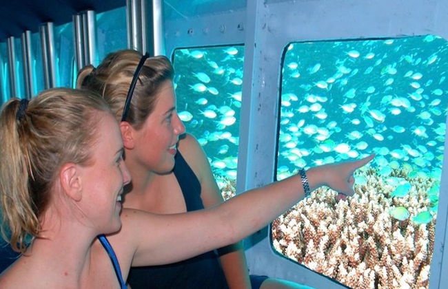 Crociera Reef Magic Marine World - Foto 6