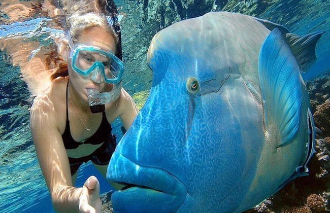 Crociera Reef Magic Marine World - Foto 1