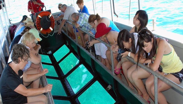 Crociera Reef Magic Marine World - Foto 4