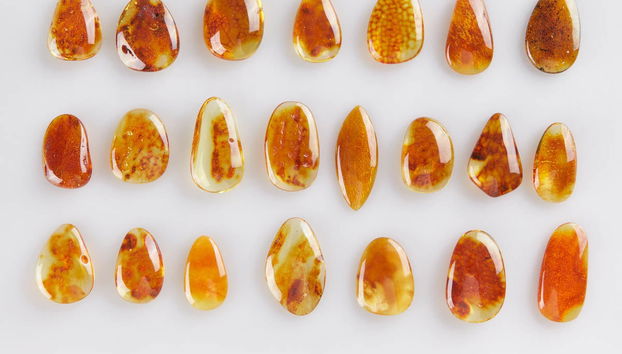 Tour privado por Klaipėda - Foto 4