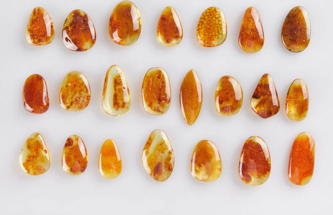 Tour privado por Klaipėda - Foto 4