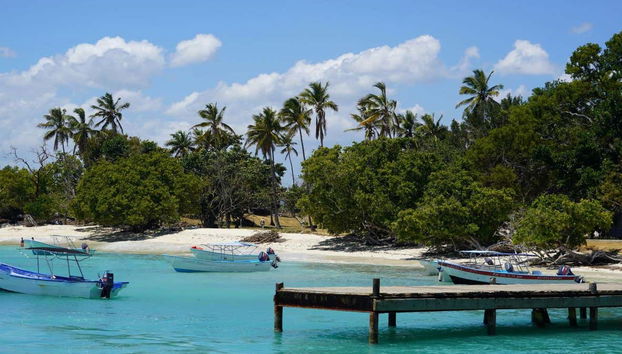 Excursión a Samaná - Foto 2