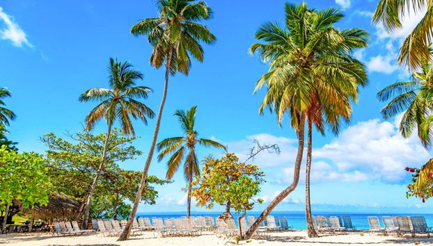 Excursión a Samaná - Foto 4