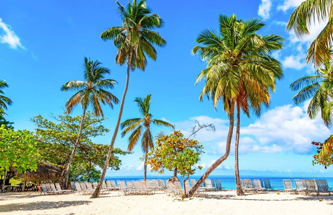 Samaná Day Trip - Photo 4
