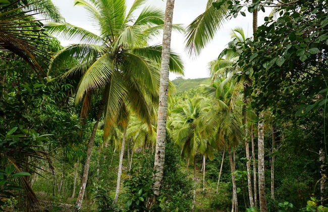 Samaná Day Trip - Photo 8