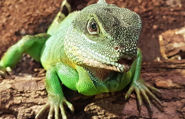 Entrada a SEA LIFE® Hannover - Foto 2