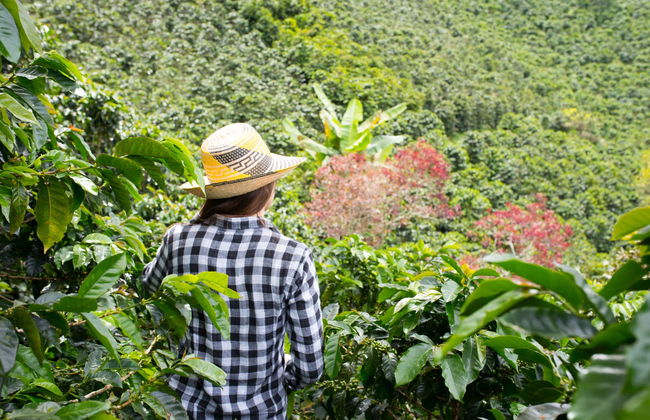 Excursión a las Montañas Azules - Foto 1