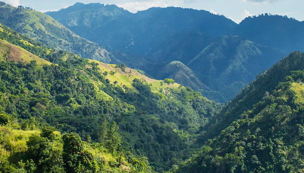 Excursión a las Montañas Azules - Foto 4