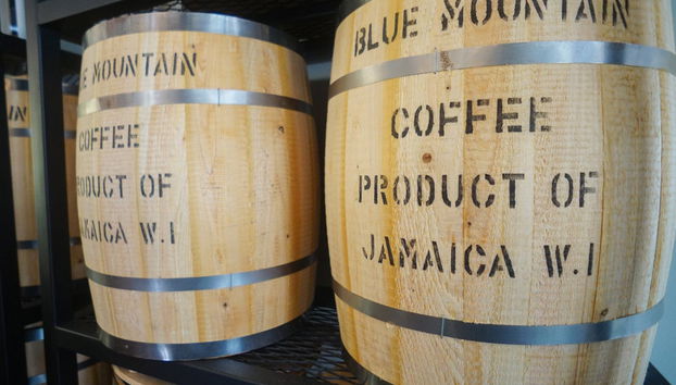 Excursión a las Montañas Azules - Foto 3