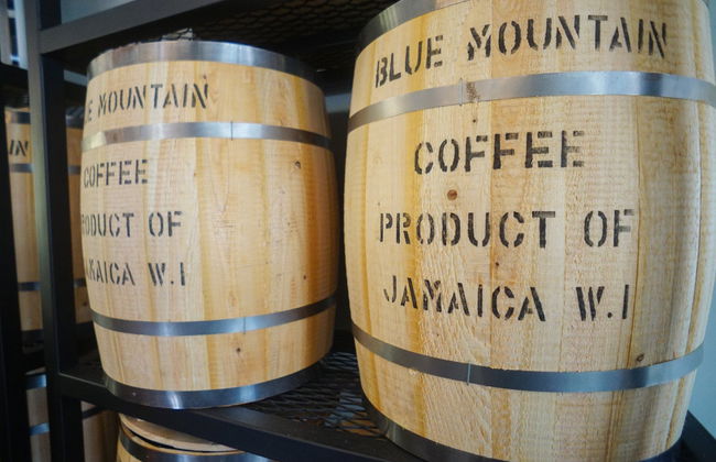 Excursión a las Montañas Azules - Foto 3