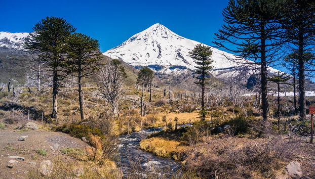 Visite de la zone frontalière avec l'Argentine - Photo 2