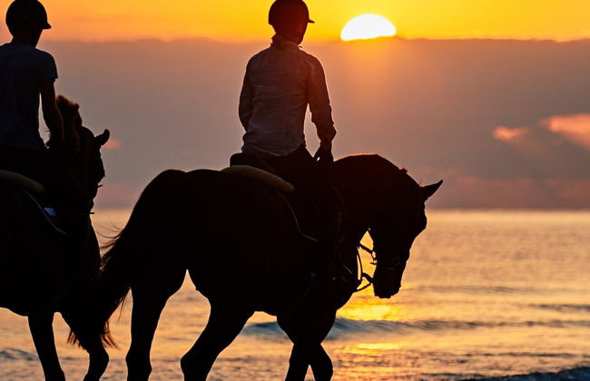 Paseo a caballo al atardecer por Doñana - Foto 4