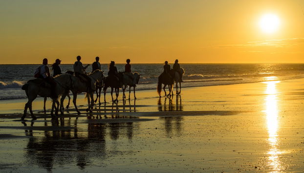 Doñana National Park Sunset Horse Ride - Photo 5