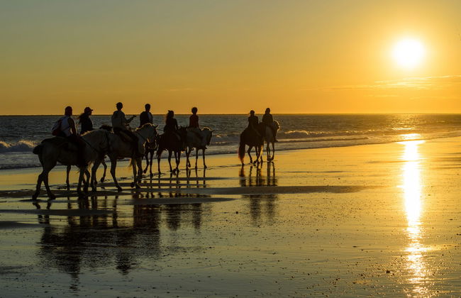 Doñana National Park Sunset Horse Ride - Photo 5